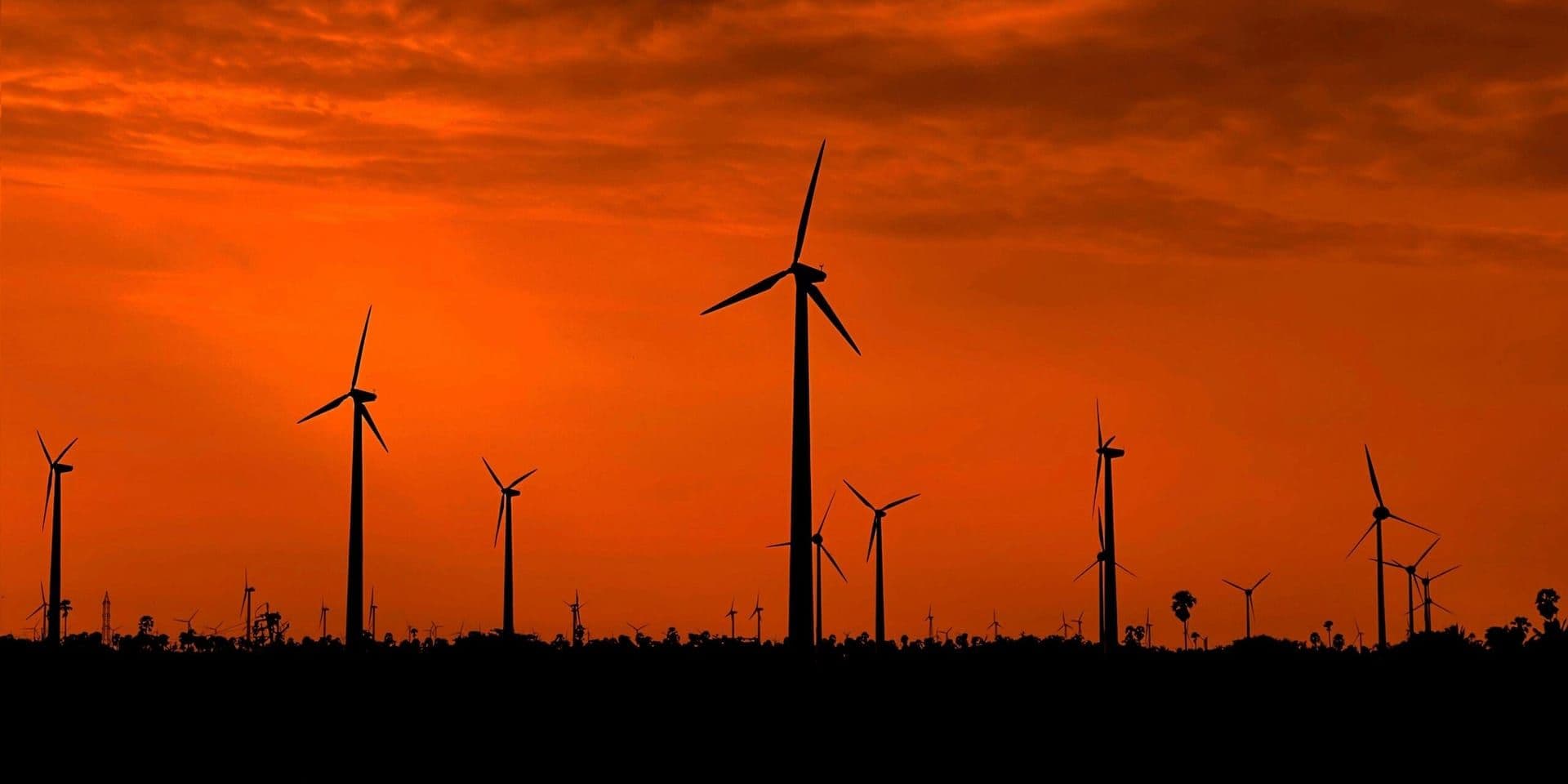 Trump’s Energy Policy: A Denial of Renewable Reality