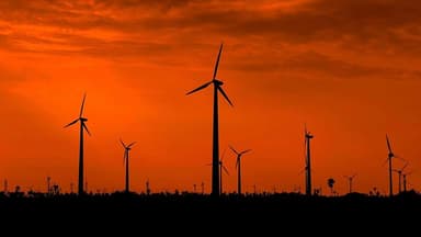 Trump’s Energy Policy: A Denial of Renewable Reality