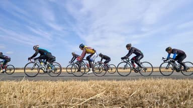 Key Races to Watch in a Pivotal Off-Year Cycle