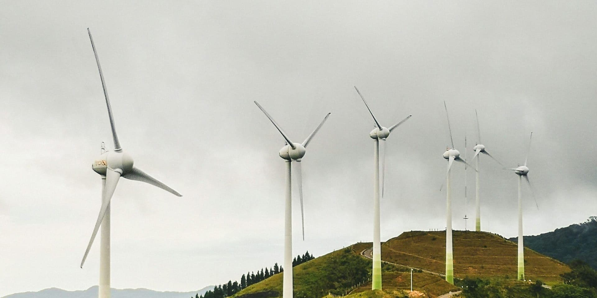 Renewable and Traditional Energy Trends Shape U.S. Outlook in Early 2026