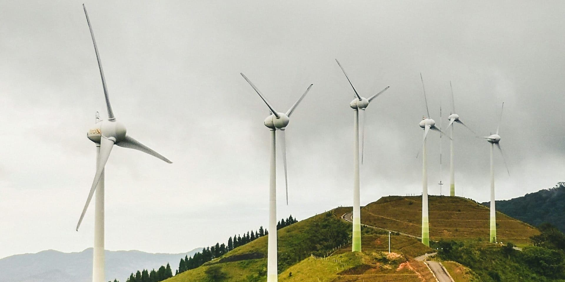 Advocating for Energy Independence Through Renewable Investments