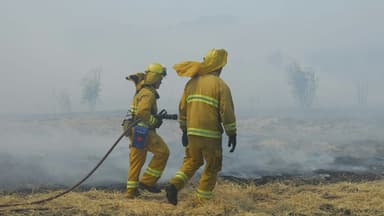 Trump Administration Proposes Consolidation of Wildland Firefighting Efforts