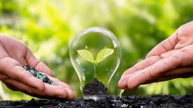 Two hands hold a light bulb with a sprouting plant and soil inside.
