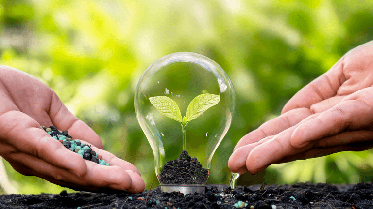 Two hands hold a light bulb with a sprouting plant and soil inside.