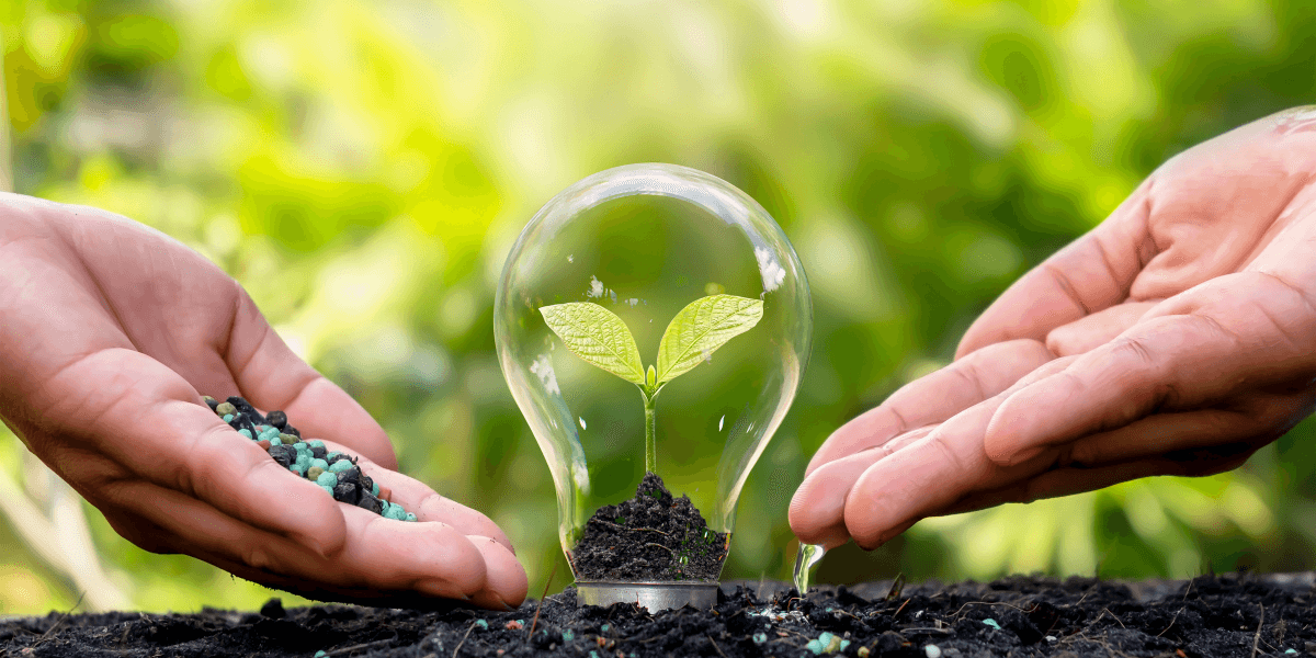 Two hands hold a light bulb with a sprouting plant and soil inside.