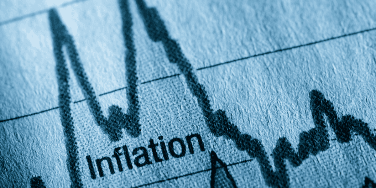 Close-up of a graph showing fluctuating inflation rates over time