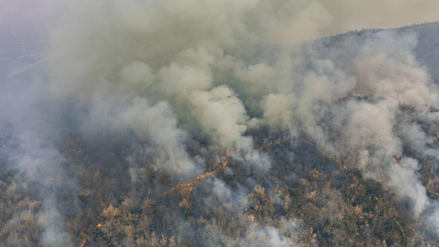 Aerial view of an active wildfire with smoke rising above a burning forest.