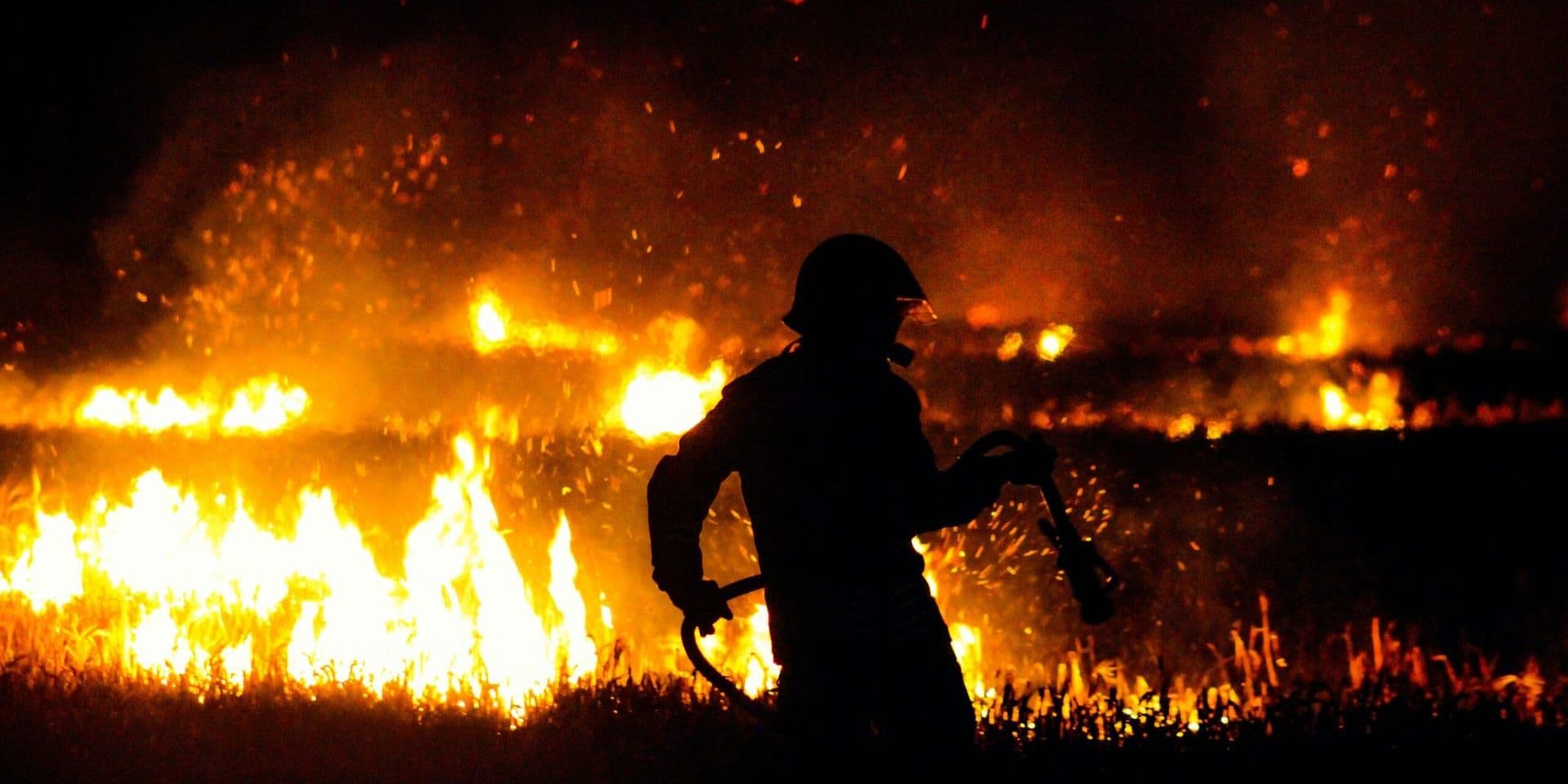 Evaluating the Impact of the Proposed Wildfire Service Consolidation