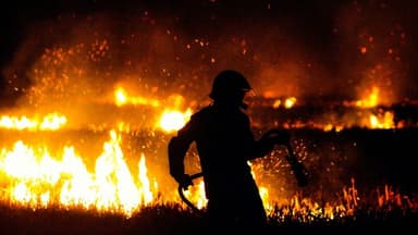 Evaluating the Impact of the Proposed Wildfire Service Consolidation
