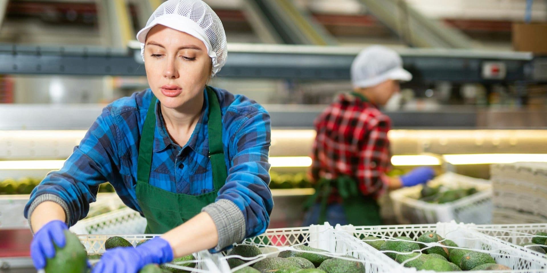 Strengthening Domestic Production: A Conservative Approach to Economic Growth