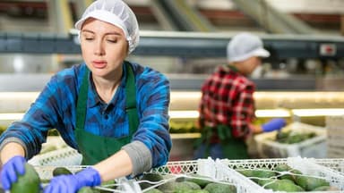 Strengthening Domestic Production: A Conservative Approach to Economic Growth