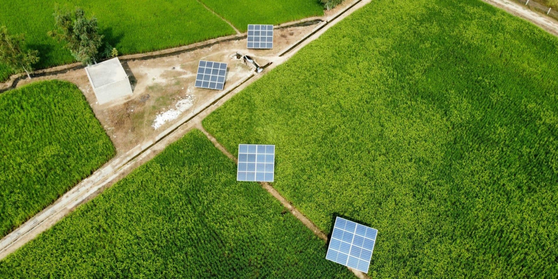 UK Launches State-Owned Green Energy Company to Accelerate Net-Zero Push