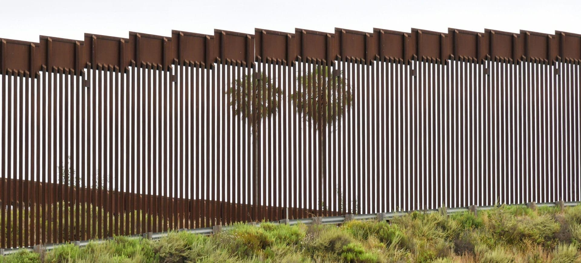 ACLU Challenges Trump’s Wartime Deportation Order in Federal Court