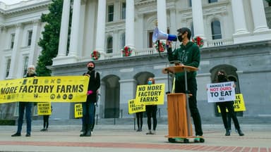 Republican Lawmakers Push Back on Trump’s Greenland Tariff Strategy