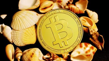 JPMorgan CEO Urges U.S. to Prioritize Military and Rare Earth Materials Over Bitcoin
