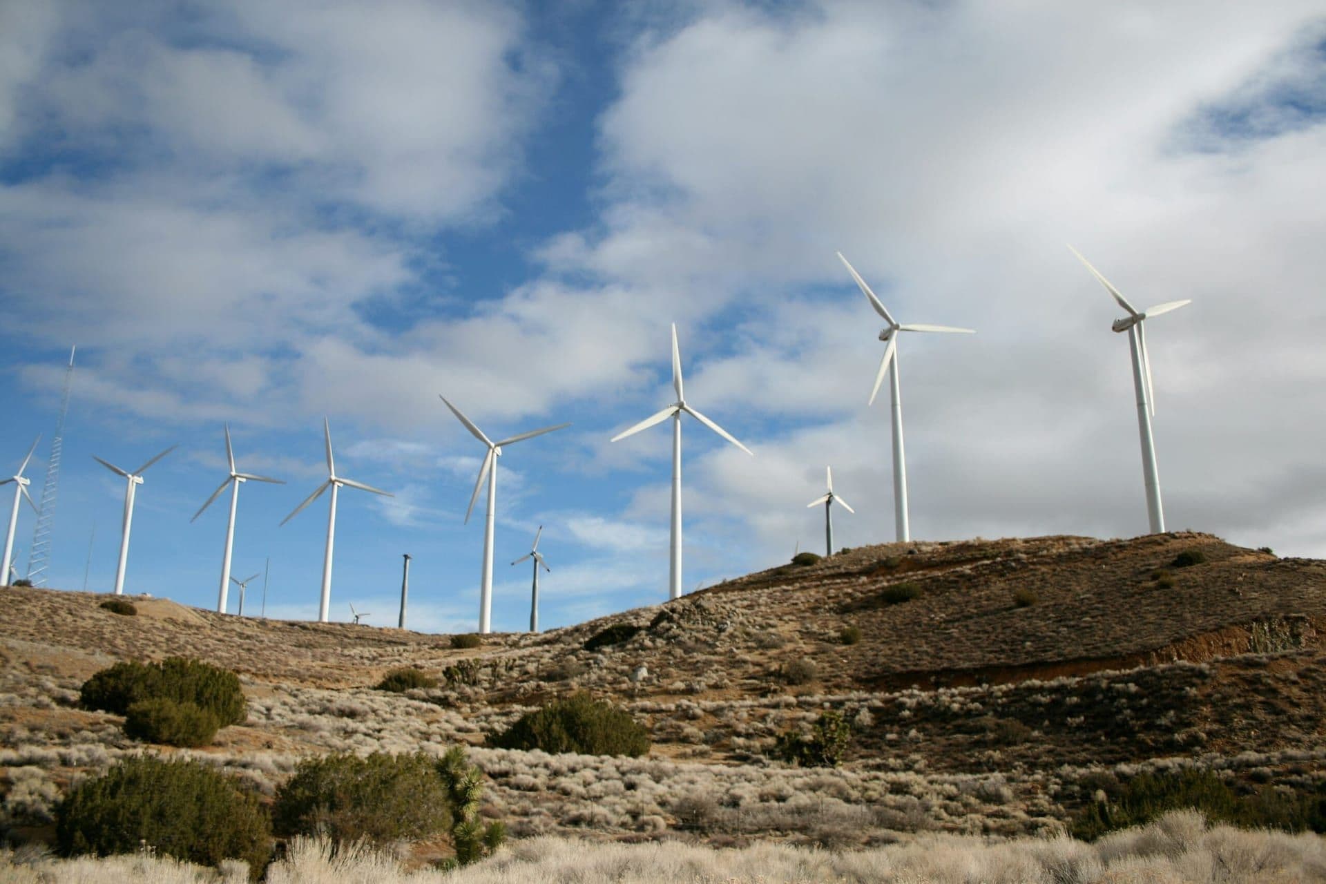 GOP Senators Propose Legislation to End Biden’s “Green New Deal” Energy Mandates