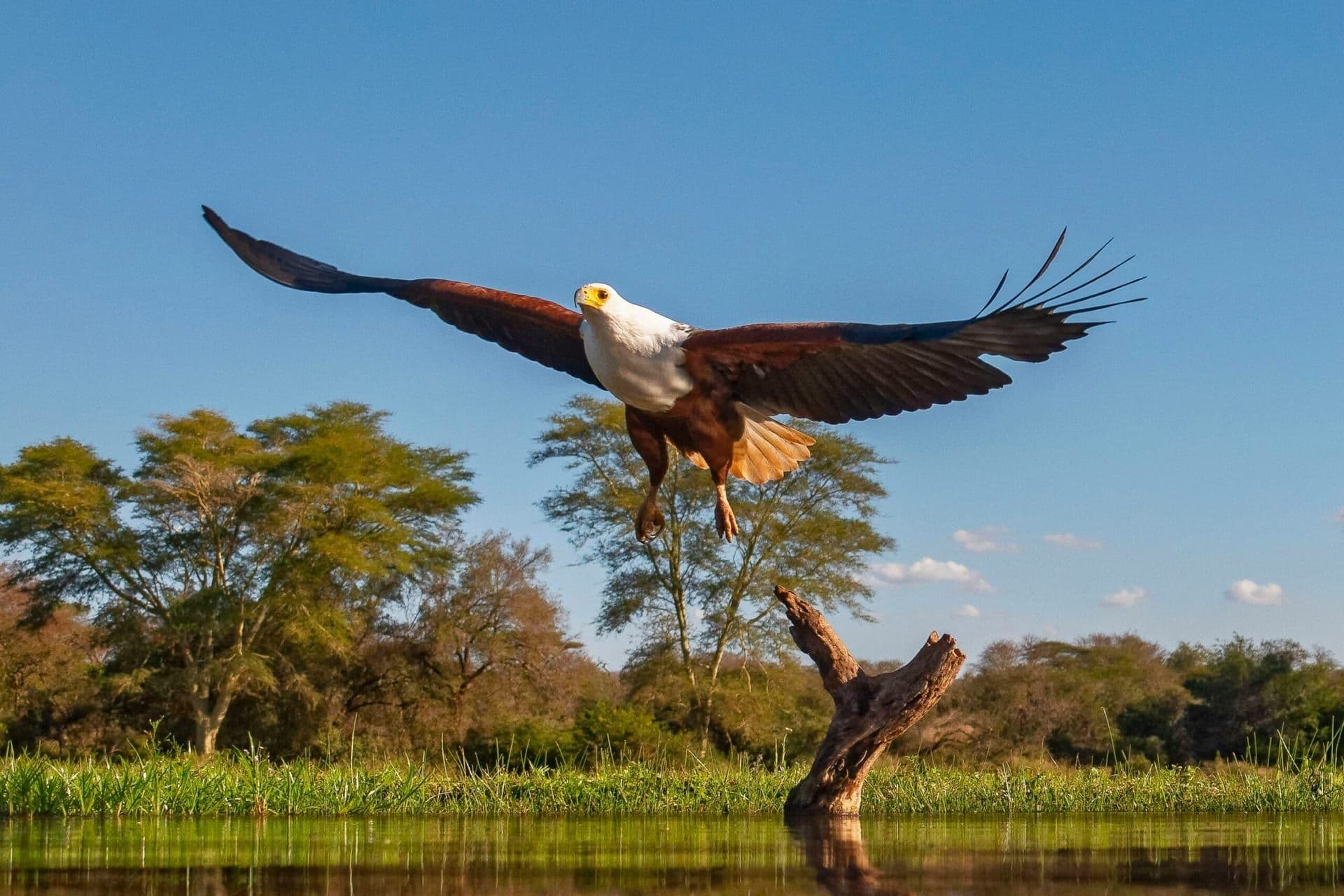 New Federal Conservation Push Aims to Unite Political Divide on Environment