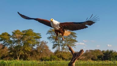 New Federal Conservation Push Aims to Unite Political Divide on Environment