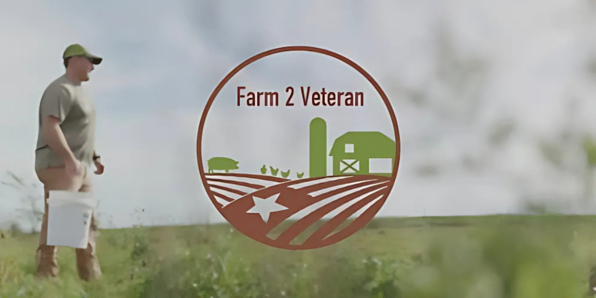 Dnna standard image 1200 x 600 1200 x 600 px 1